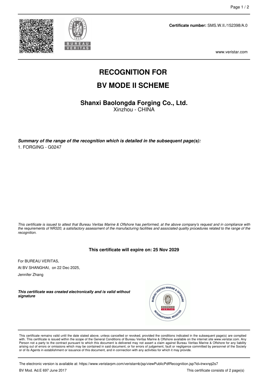Preview of BV recognition certificate